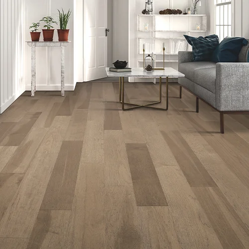 Legate's Furniture World providing pet-friendly waterproof vinyl flooring in Madisonville, KY